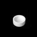CalmPaw™ Ceramic Reptile Food Bowl – Escape-Proof Feeding Dish for Reptiles