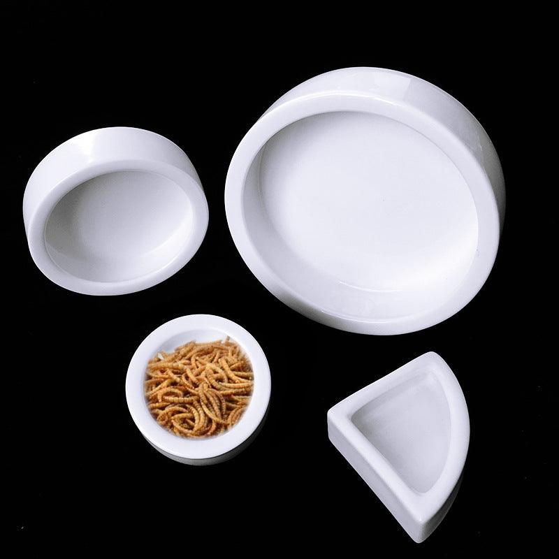 CalmPaw™ Ceramic Reptile Food Bowl – Escape-Proof Feeding Dish for Reptiles