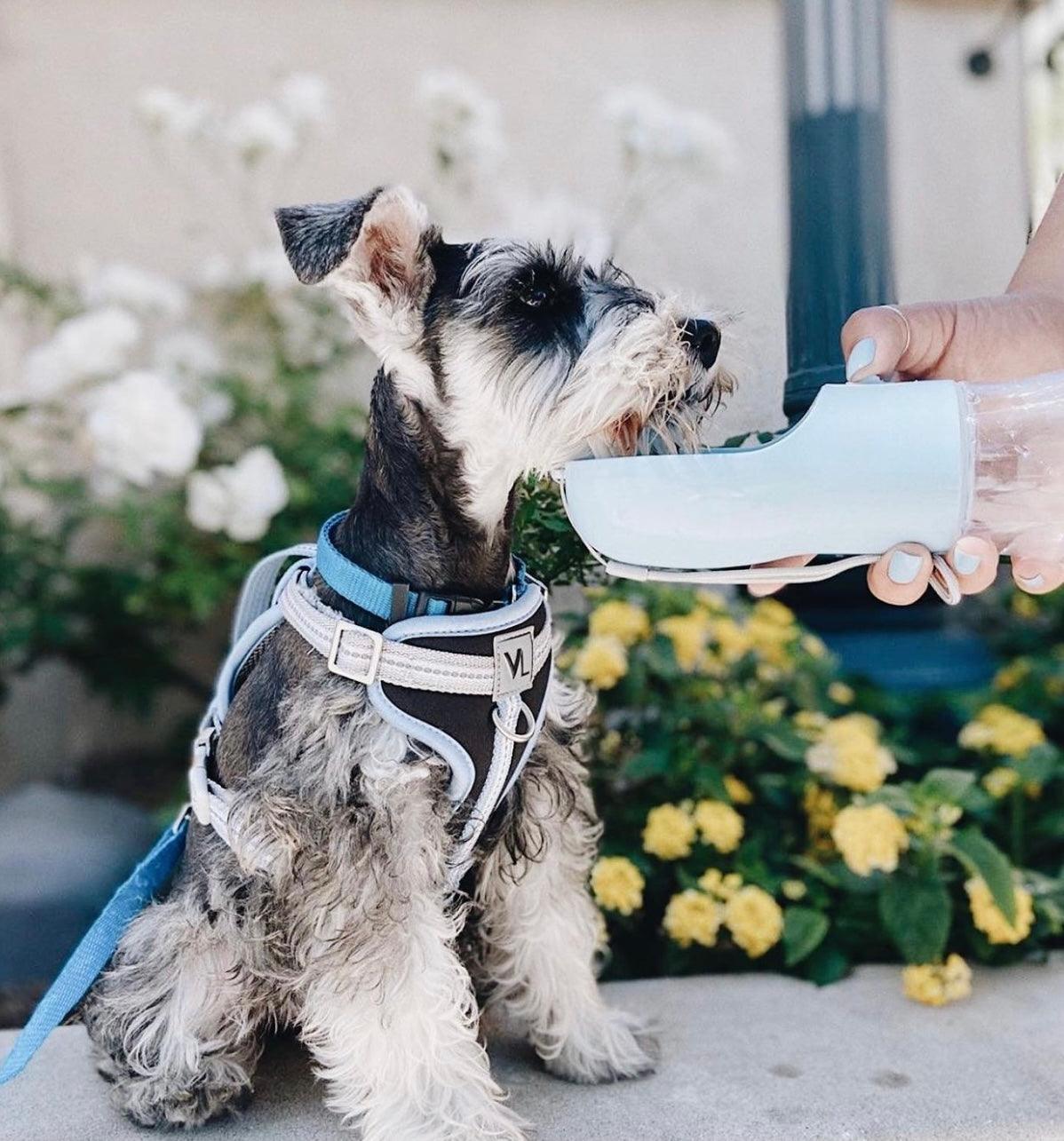 CalmPaw™ 2-in-1 Portable Pet Feeder – Food & Water Bottle for On-the-Go Pets
