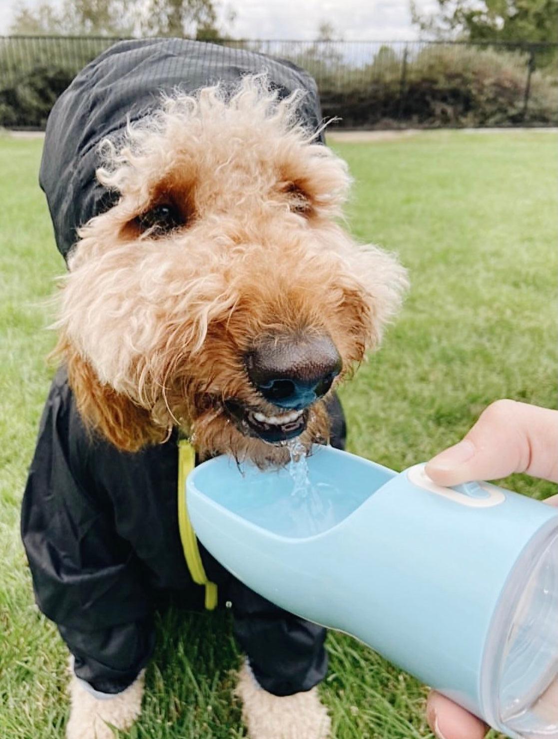 CalmPaw™ 2-in-1 Portable Pet Feeder – Food & Water Bottle for On-the-Go Pets