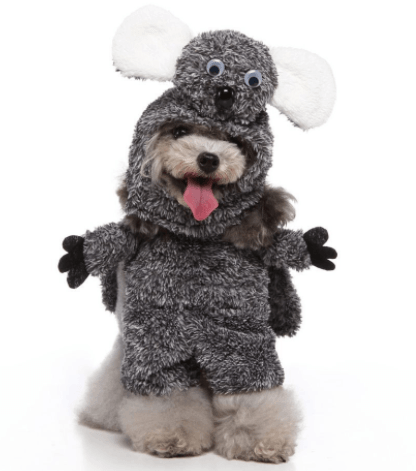 CalmPaw™ Cosplay Pet Costume Set – Cute Cartoon Dog Outfit for Halloween & Christmas