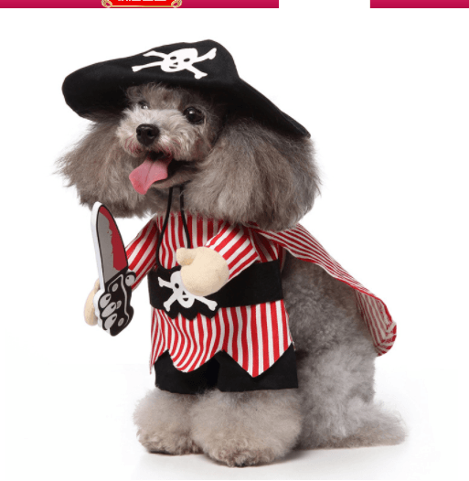 CalmPaw™ Cosplay Pet Costume Set – Cute Cartoon Dog Outfit for Halloween & Christmas
