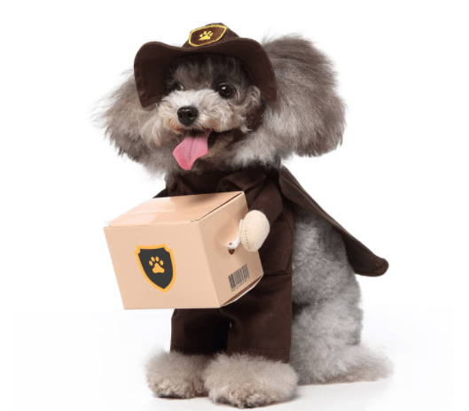 CalmPaw™ Cosplay Pet Costume Set – Cute Cartoon Dog Outfit for Halloween & Christmas