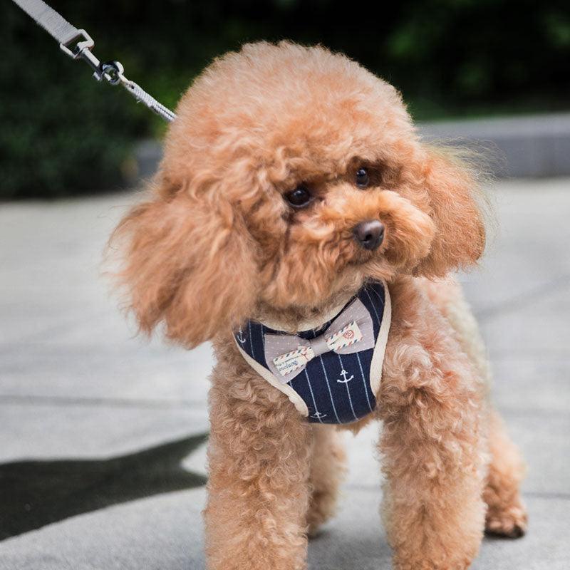CalmPaw™ Breathable Mesh Pet Lead – Lightweight & Comfortable Lead for Dogs & Cats