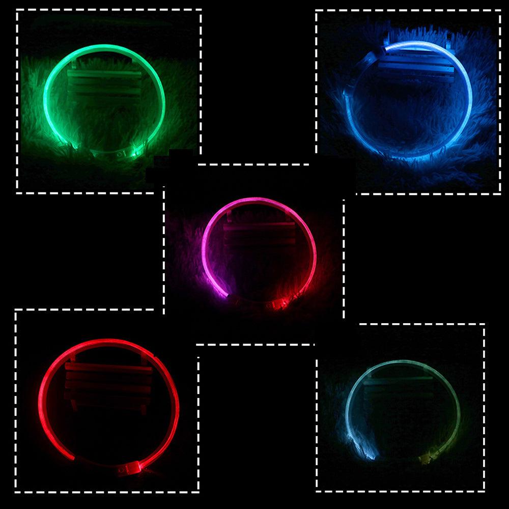 CalmPaw™ LED Glow Pet Collar – USB Rechargeable Safety Collar with 3 Flash Modes