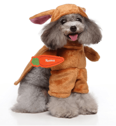 CalmPaw™ Cosplay Pet Costume Set – Cute Cartoon Dog Outfit for Halloween & Christmas